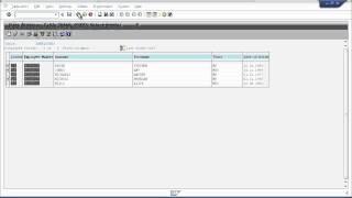 Beginners Guide - Learn SAP ABAP - View the Data In Your Table Using ABAP Workbench Tools