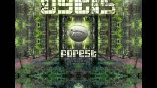 Vytis    sfr 008  Forest   Ultimate Edition   35 Aurora Borealis Two mp3