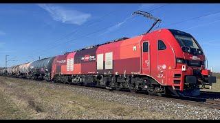 Bahnhof Straubing viel Lok Power und VOLLTREFFER RCG 2159 264 am 03.03.2025 mit schönem Zugverkehr