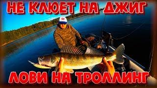 Не клюет на джиг? Лови на троллинг! Осенняя рыбалка на Рузском водохранилище. Судак, щука, окунь.