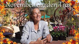 November Garden Tips and Tricks! Plus Bonus on Forcing Bulbs!