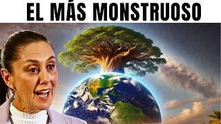 Se Descubre el Árbol Más Grande del Mundo en México ¡Es Monstruoso!