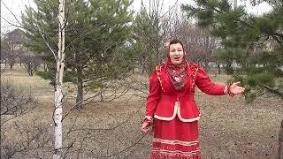 "Сидел ворон", исполняет  Елена Сычёва