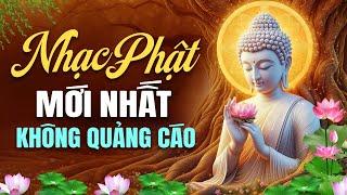 Nghe Nhạc Phật Mới Nhất KHÔNG QUẢNG CÁO - Liên Khúc Nhạc Phật Giáo Tịnh Tâm Hay Nhất 2024