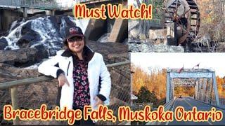 THE AMAZING BEAUTY OF BRACEBRIDGE FALLS IN MUSKOKA, ONTARIO, CANADA / NORMA MANTE