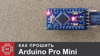 How to program the Arduino PRO mini [English Subtitles]