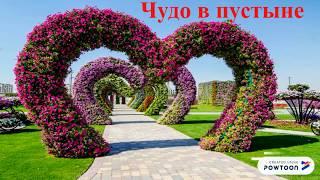 Чудо в пустыне. Dubai Miracle Garden