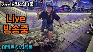황제낚시~ 다양한 고급어종 싹쓸어보자! #인천락실내바다낚시터 #하룽이일상 #인천낚시