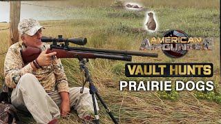 PRAIRIE DOG Airgun Hunting with Jim Chapman