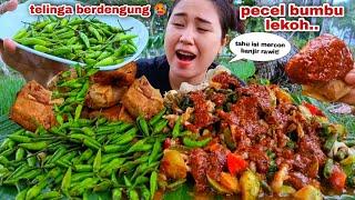 EAT WHOLE CHILLI, VEGETABLE PECEL, FRIED TOFU, SPICY MUKBANG