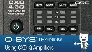 Q-SYS: Using CXD-Q in your Design