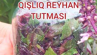 QIŞLIQ REYHAN TUTMASI / БАЗИЛИКА НА ЗИМУ / KIŞLIK REYHAN / METBEX LEZZETLERİ