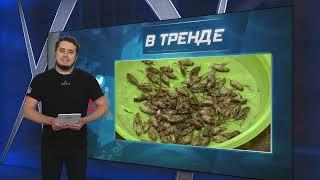 Карательная кулинария как россиян кормят жуками | В ТРЕНДЕ