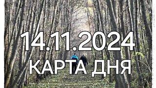 14 ноября 2024 | карта дня | все знаки зодиака 🃏