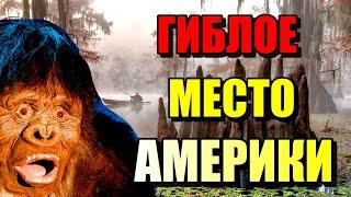 ГИБЛОЕ МЕСТО АМЕРИКИ! Луизианские Болота"Призраков"! #болото