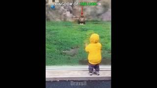 King of the Animal Kingdom ️ #edit #animals #viralvideo