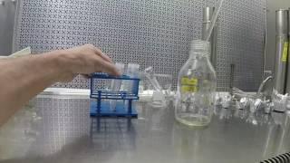 Agar Slant Preparation - Complete Procedure - May 2017