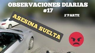 OBSERVACIONES DIARIAS #17 --2°PARTE --Motovlogg en Salta