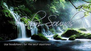 Relaxing Nature Sounds for Sleeping, Meditation  in 10 MINUTES