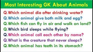 Interesting Gk Questions About Animals || Gk about About Animals and Birds||Facts about Animals