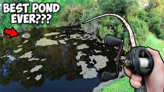 Bass Fishing the MOST FAMOUS POND ON THE INTERNET!!! (EPIC POND BASS FISHING)