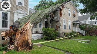 Dangerous Fastest Idiots Cutting Tree Fails Skill With Chainsaw | Tree Falling on Houses #15