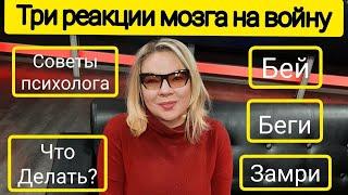 Психологическая помощь во время войны. Первый городской. Красная грань с Анной Искровой