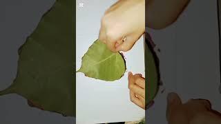calligraphy on leaf #short#eman calligraphy#art#viral