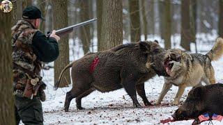 Hunting Wild Boar in the Cold Winter - Hunter Uses Hunting Dogs to Tame the Aggressive Wild Boar