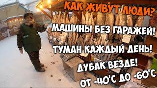 Как живут люди в самом холодном городе на планете!