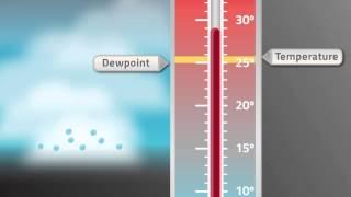 VFR into IMC: Temperature and Dewpoint