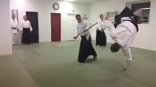Aikido Kokikai