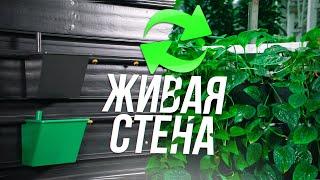 ГОТОВАЯ ФИТОСТЕНА с АВТОПОЛИВОМ ПРЕОБРАЗИТ КВАРТИРУ! Вертикальное озеленение!