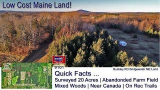 Land For Sale In Maine Video | Bridgewater Maine Real Estate Land | MOOERS REALTY 9101