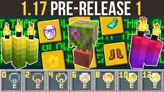 Minecraft 1.17 Pre-Release 1 Flower Pot Azaleas, New Sign Glow & Candles Return!