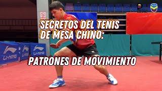 Secretos del tenis de mesa chino: 4. Patrones de movimiento