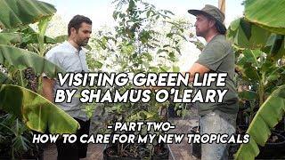 Ep192 - How to Care For Your Tropicals with Shamus O'leary // Part 2