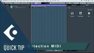 Tempo Detection MIDI | Audio Editing and Warping