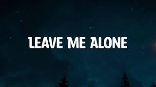 Logan Michael - Leave Me Alone  ( Music Video Lyrics )