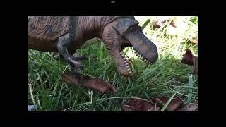 T-rex elimination wheel: magma back vs scar rex vs tyrant rose petal vs panther