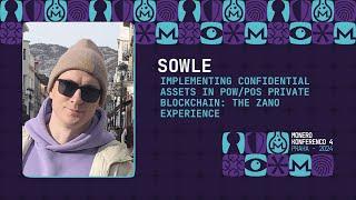 Sowle - Implementing Confidential Assets in PoW/PoS Private Blockchain: The Zano Experience