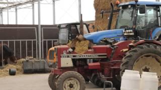 Lier' Kinderboerderij 't Struisvogelnest'