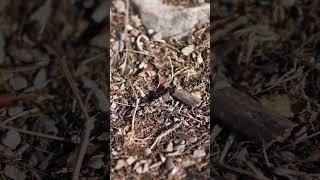 Мы верим, что всё по воле Аллаха, но бывают моменты... | Олег Dawah Project