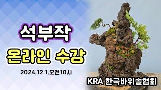 바위솔 석부작 온라인수강 2024.12.01.오전 10시 초보를 위한 강의 현무암 괘석 010-8759-0794