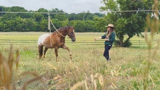 quitting the 9-5 to travel with horses