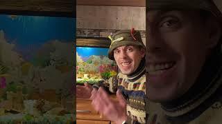 Как правильно поить АКВАРИУМНЫХ РЫБ! #отдых #природа #рыбалка #русалка #отдых #щука #топ #shorts