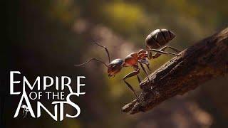 Empire Of Ants - Gameplay Part 1 - Is It Any Good?