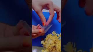 Rose under glass dome diy/ rose glass dome diy form left over things #diy