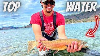 Fly Fishing for BIG Cutthroat Trout in a Cool & Unique Place (Fly Fishing Washington State)