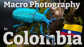 Macro Photography in COLOMBIA - Ep 1: Bugs, Birds, Beetles!